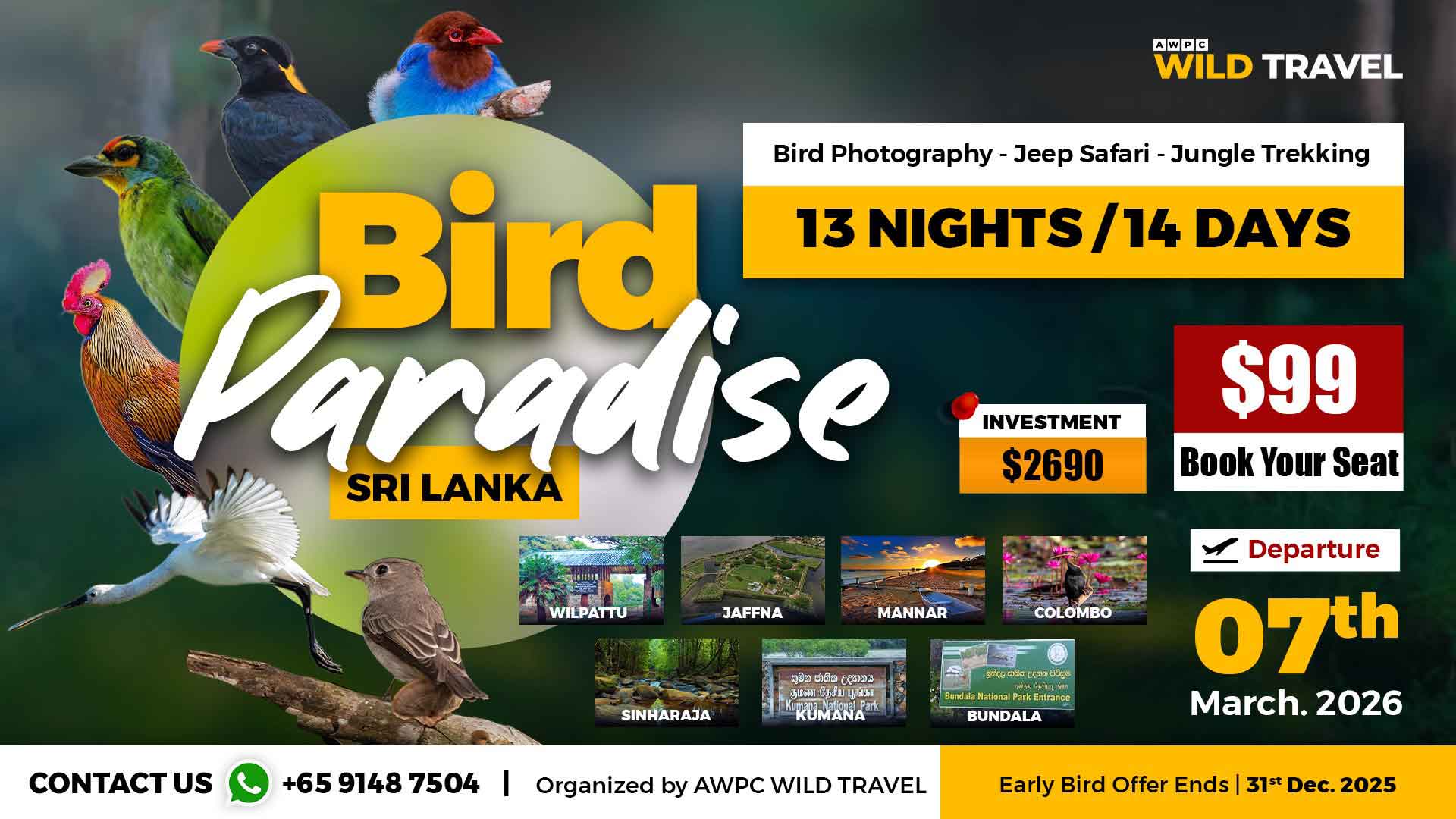 1---Bird-paradise