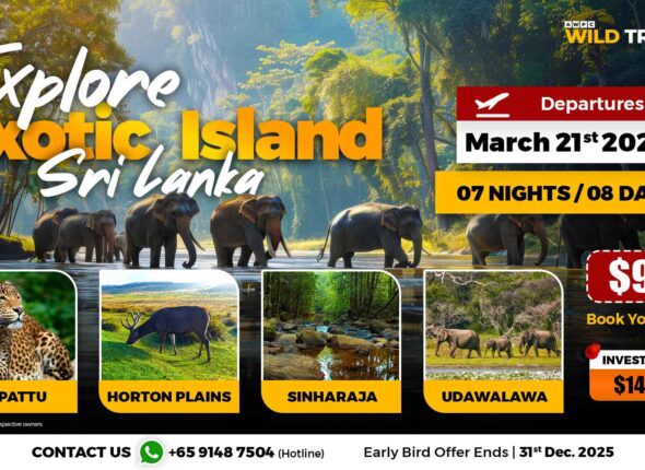 4---Explore-Exotic-Island