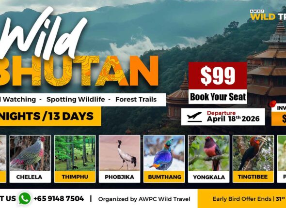 5---Wild-Bhutan