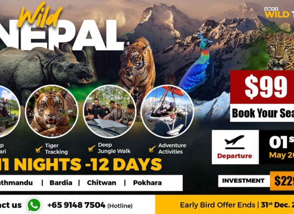 7---Wild-Nepal