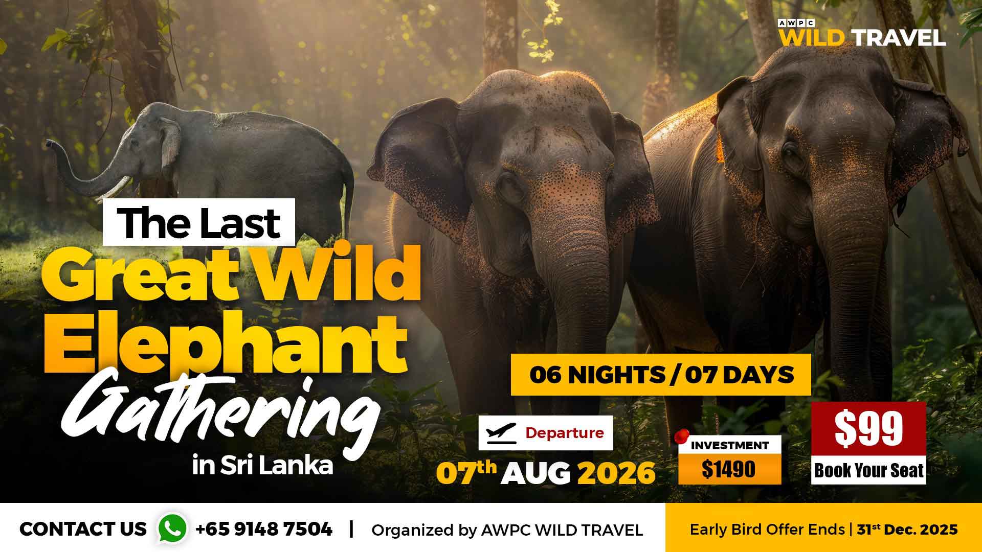 8---Elephant-gathering