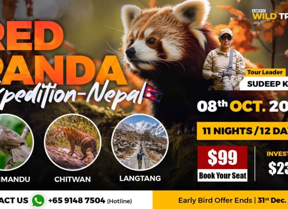 9---Red-Panda-Expedition