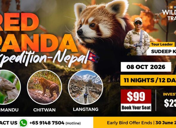 4---Red-Panda-Expedition
