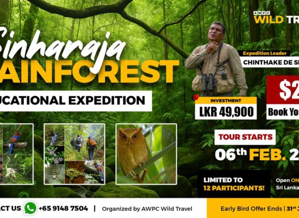 1---Sinharaja-Expedition