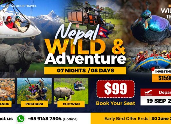 3---Wild-&-Adventure