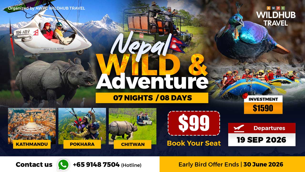 3---Wild-&-Adventure