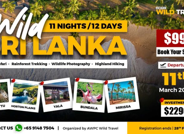 4---Wild-Sri-Lanka
