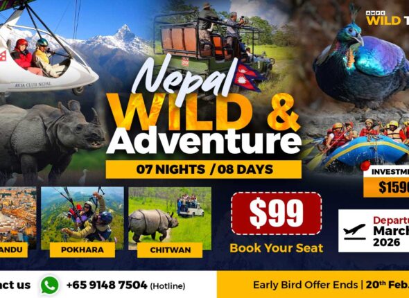 5---Wild-&-Adventure