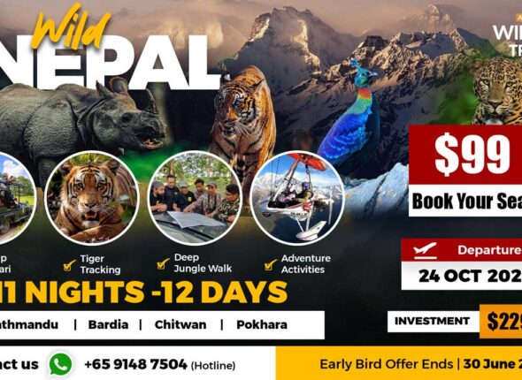 5---Wild-Nepal