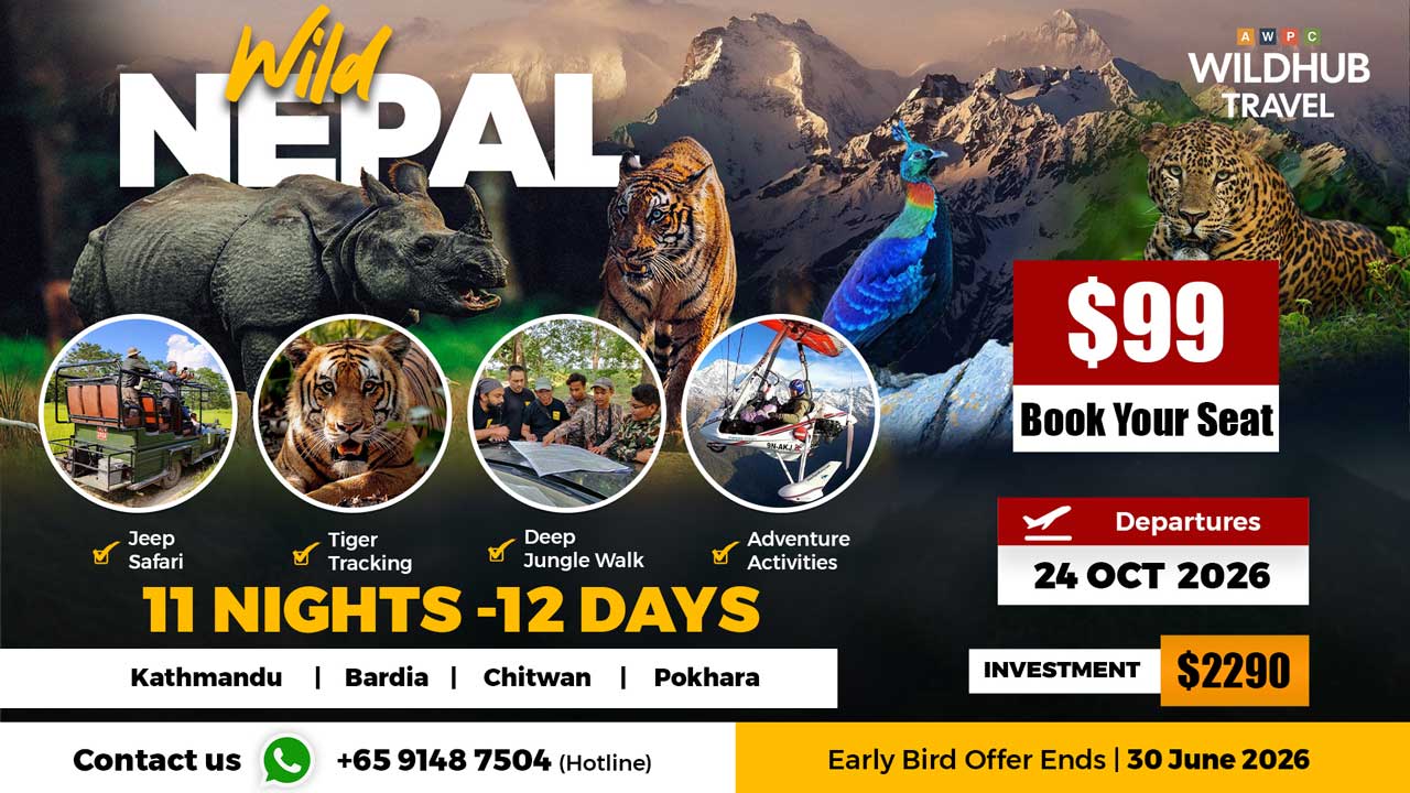 5---Wild-Nepal