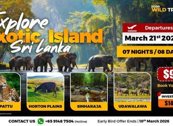 6---Explore-Exotic-Island