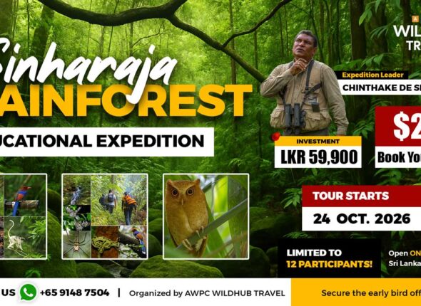 6---Sinharaja-Expedition