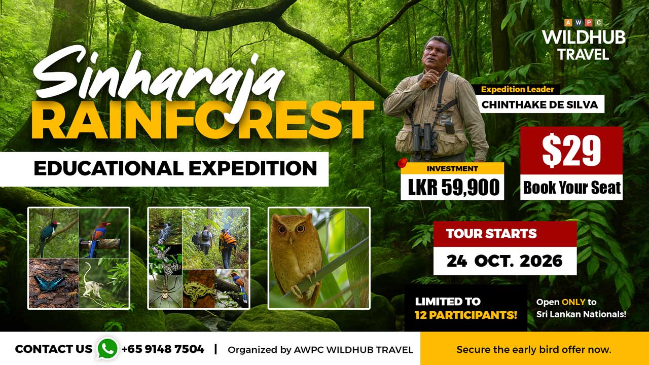 6---Sinharaja-Expedition