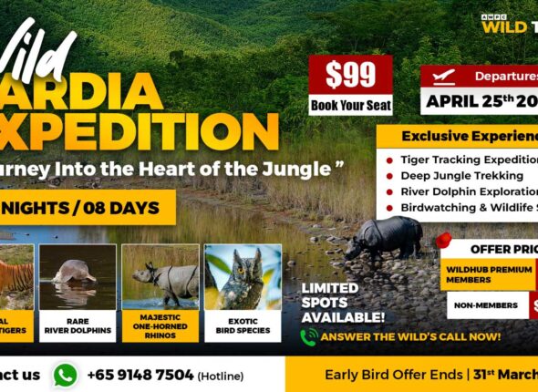 8---Wild-Bardia-Expedition