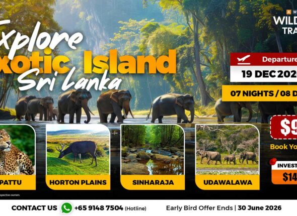 9---Explore-Exotic-Island