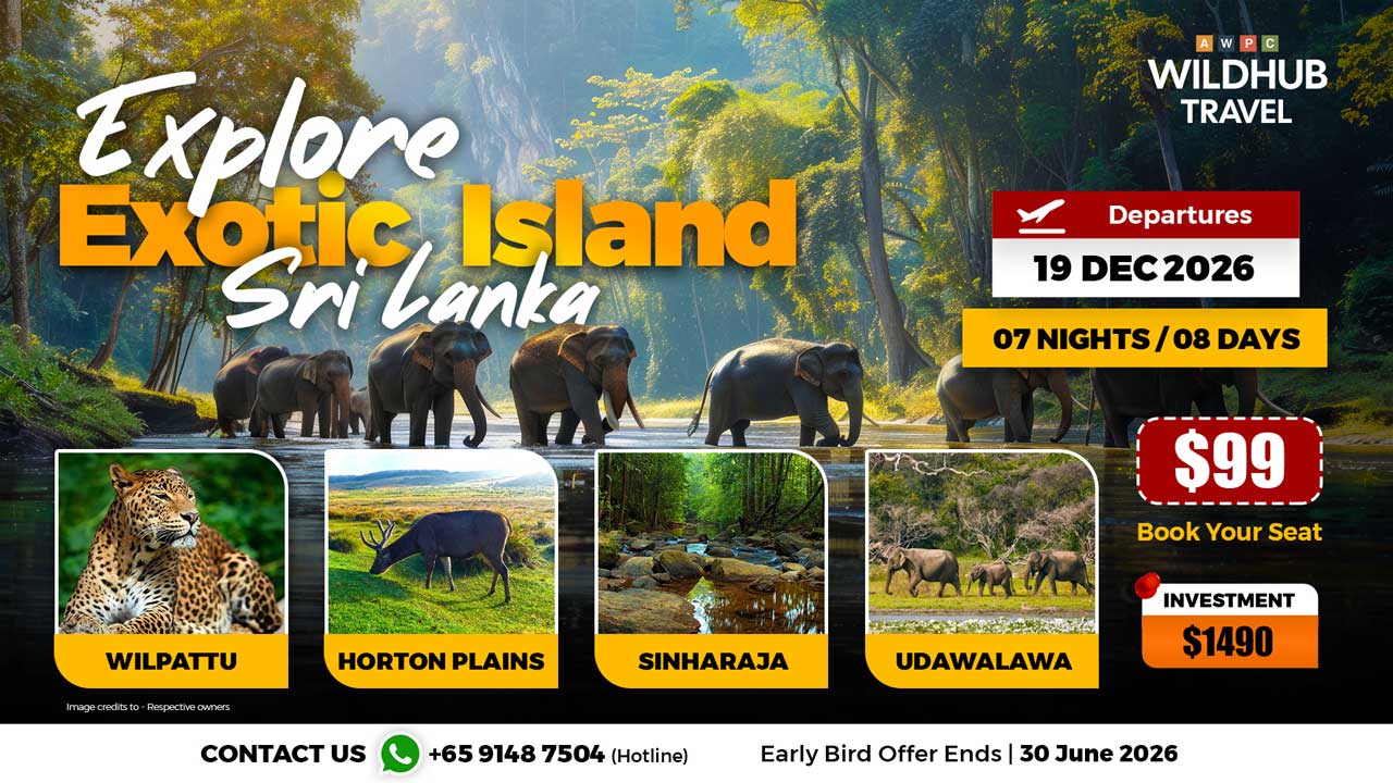 9---Explore-Exotic-Island
