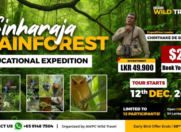 Sinharaja-tour-(Travel)